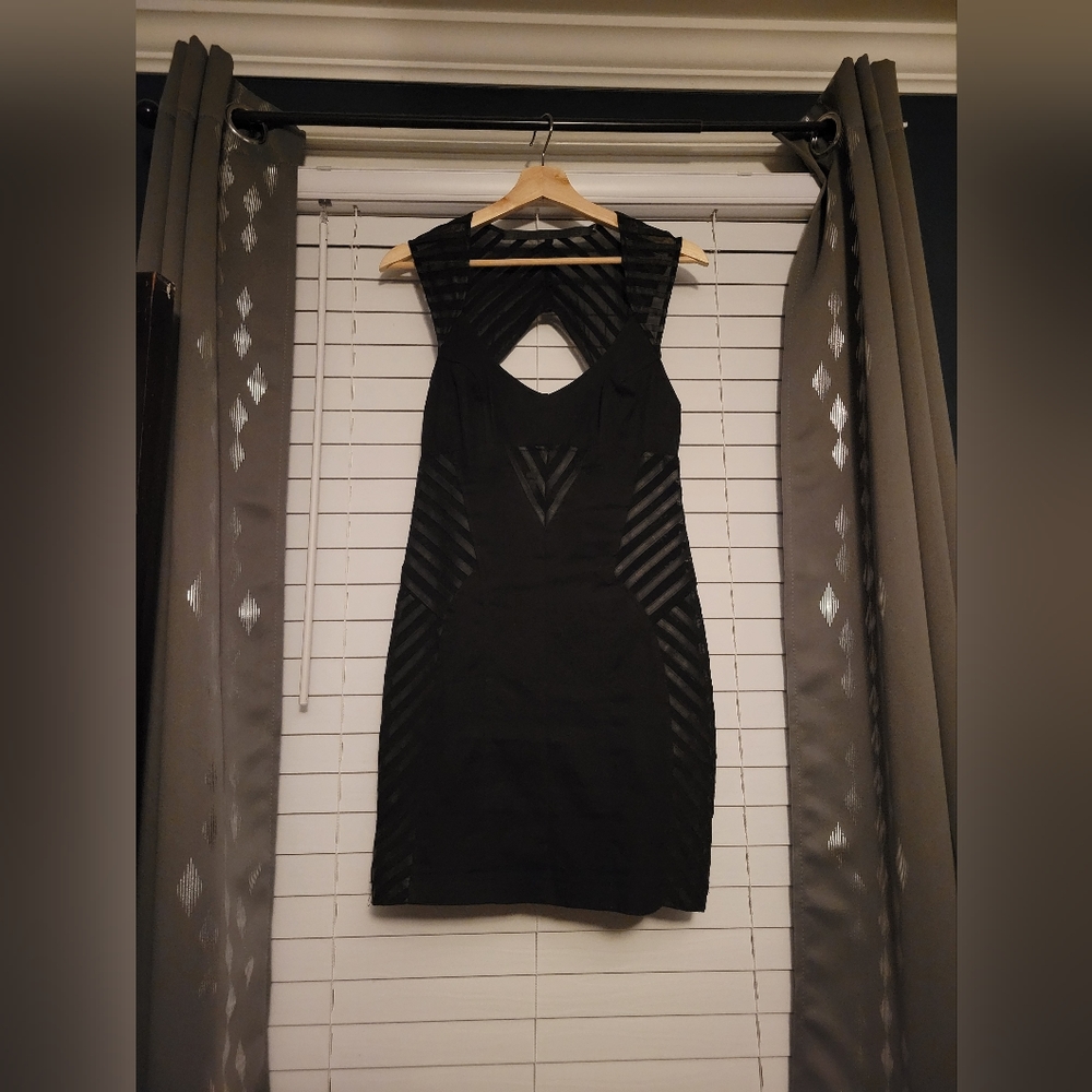 Lip Service dress, mesh panels!!